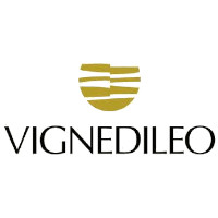 Vignedileo