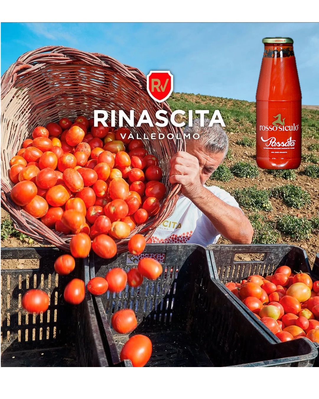 Siccagno-tomaten, en skatt som uppstår ur nödvändighet
